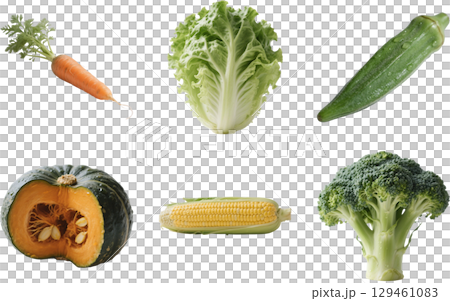 各種蔬菜的插圖 129461083