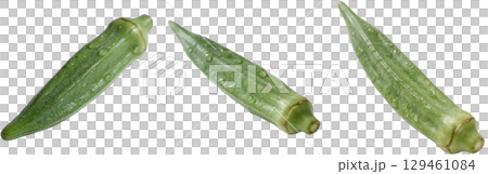 Realistic Okra 129461084