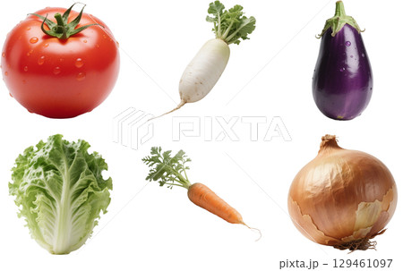 いろいろな野菜のイラスト 129461097