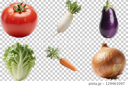 いろいろな野菜のイラスト 129461097