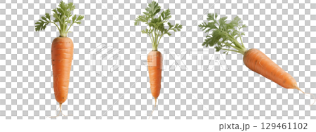 Carrots with leaves 129461102