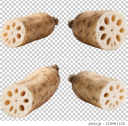 各種蓮藕 129461128