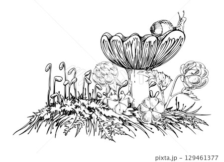 Russula cortinarius webcap mushroom with snail on cap, cloudberry berries on top of moss cushion spore stalks. Forest floor woodland ecosystem. Fungi natural illustration hand drawn in vector ink. Russula cortinarius webcap mushroom with snail on cap, cloudberry berries on top of moss cushion spore stalks. Forest floor woodland ecosystem. Fungi natural illustration hand drawn in vector ink. 129461377
