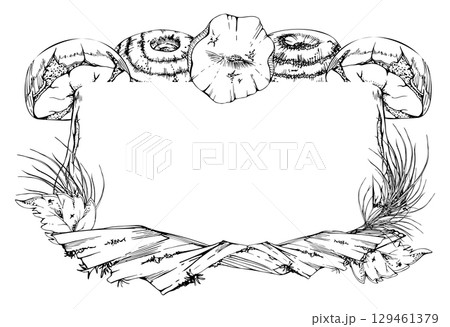 Bolete Russula milk-cap mushroom on bark with moss lichen growth, fallen autumn leaves, pine needles. Copy space frame hand drawn in vector ink. Cep webcap suillus fungi, autumn forest floor harvest. 129461379