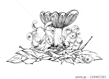 Russula cortinarius webcap mushroom, cranberry lingonberry branches on top of fallen autumn leaves pile with twigs. Forest floor woodland scene. Fungi natural illustration hand drawn in vector ink. Russula cortinarius webcap mushroom, cranberry lingonberry branches on top of fallen autumn leaves pile with twigs. Forest floor woodland scene. Fungi natural illustration hand drawn in vector ink. 129461381