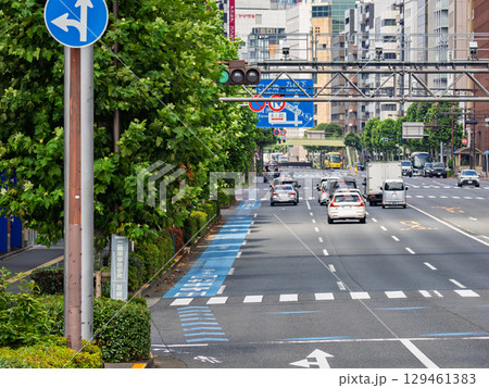 道路の左端に設置された「普通自転車専用通行帯」 道路の左端に設置された「普通自転車専用通行帯」 129461383