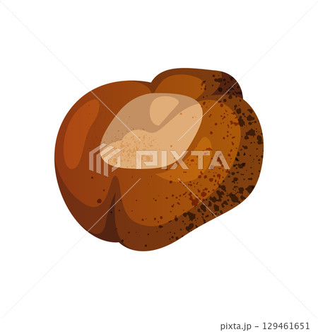 Autumn chestnut seed or fall forest nature. Vector isolated sign for wood wildlife flora or park tree foliage element. Roasted snack ingredient or seasonal natural plant food. Foraging and botany. Autumn chestnut seed or fall forest nature. Vector isolated sign for wood wildlife flora or park tree foliage element. Roasted snack ingredient or seasonal natural plant food. Foraging and botany. 129461651