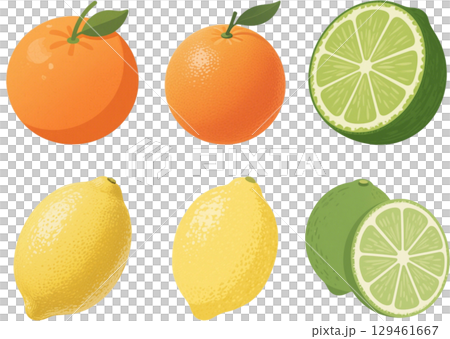 フレッシュな柑橘系フルーツ 129461667