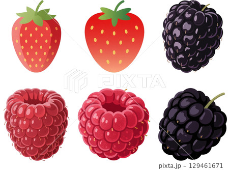 様々なベリーのイラストセット 129461671