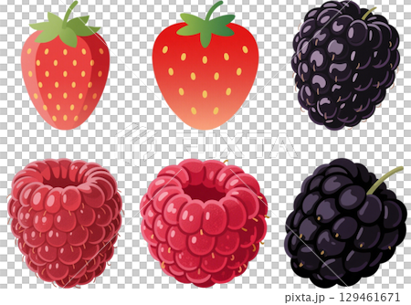 様々なベリーのイラストセット 129461671