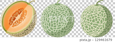 Cut melon 129461679