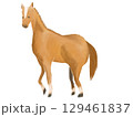 水彩画風タッチの馬のイラスト 129461837