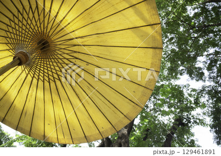 Umbrella outdoor market in the garden 129461891