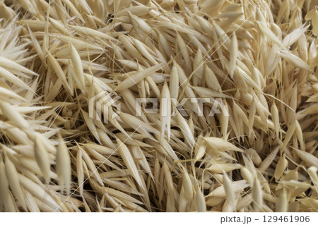 Dried herb aroma flowers in street market Chiang Mai, Thailand 129461906