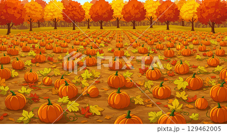 紅葉に囲まれた秋のかぼちゃ畑の風景 129462005