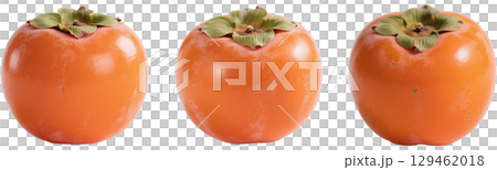 Realistic persimmon 129462018