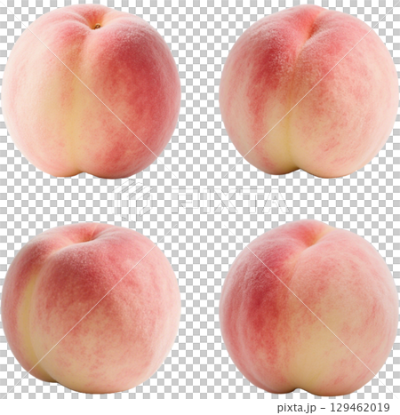 熟した桃 129462019