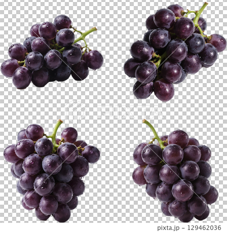 Illustration of many grapes on a white background 129462036