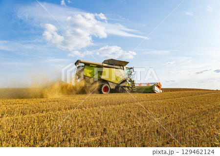 A combine harvester collects ripe crops in a golden field under a blue sky, highlighting modern farming techniques A combine harvester collects ripe crops in a golden field under a blue sky, highlighting modern farming techniques 129462124