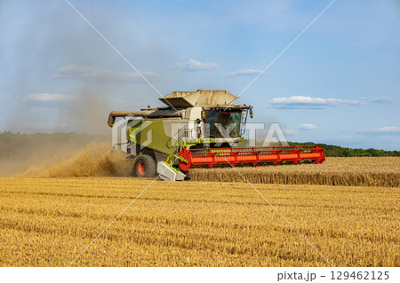 A powerful combine harvester is actively gathering wheat in a vast field on a sunny day, showcasing modern agricultural practices A powerful combine harvester is actively gathering wheat in a vast field on a sunny day, showcasing modern agricultural practices 129462125