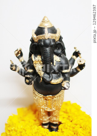 Ganesha god is the Lord of Success God of Hinduism on Marigold flowers Isolated on white background. Ganesha god is the Lord of Success God of Hinduism on Marigold flowers Isolated on white background. 129462397