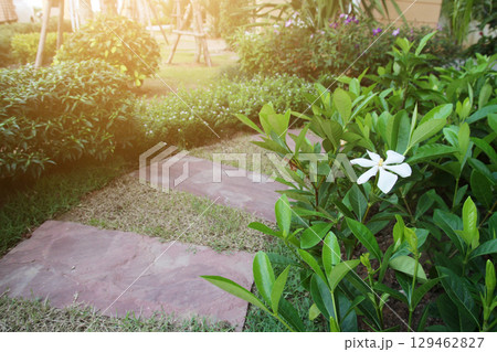 Idea of Stone and cement tile design for paving walkway in the garden. Design And Decorative Garden. Idea of Stone and cement tile design for paving walkway in the garden. Design And Decorative Garden. 129462827