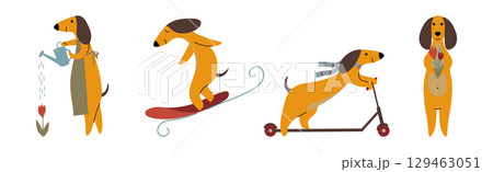 Funny Dachshund Dog Character Engaged in Different Activity Vector Set 129463051