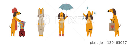 Funny Dachshund Dog Character Engaged in Different Activity Vector Set Funny Dachshund Dog Character Engaged in Different Activity Vector Set 129463057