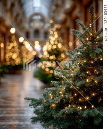 Festive Friday Warm Fairy Lights Artistic Architecture Celebration Festive Friday Warm Fairy Lights Artistic Architecture Celebration 129463488