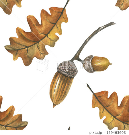 Acorn and dry oak leaf. Seamless pattern from watercolor illustrations. Hand drawn isolated on white background Acorn and dry oak leaf. Seamless pattern from watercolor illustrations. Hand drawn isolated on white background 129463608