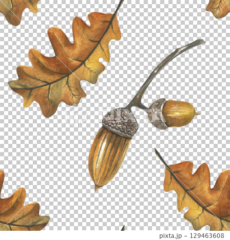 Acorn and dry oak leaf. Seamless pattern from watercolor illustrations. Hand drawn isolated on white background Acorn and dry oak leaf. Seamless pattern from watercolor illustrations. Hand drawn isolated on white background 129463608