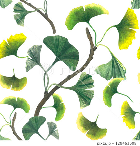 Ginkgo branch. Seamless pattern on transparent background. Watercolor illustration of ginkgo biloba branch with leaves. For textiles, design, postcards Ginkgo branch. Seamless pattern on transparent background. Watercolor illustration of ginkgo biloba branch with leaves. For textiles, design, postcards 129463609
