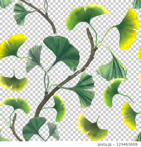 Ginkgo branch. Seamless pattern on transparent background. Watercolor illustration of ginkgo biloba branch with leaves. For textiles, design, postcards  Ginkgo branch. Seamless pattern on transparent background. Watercolor illustration of ginkgo biloba branch with leaves. For textiles, design, postcards  129463609