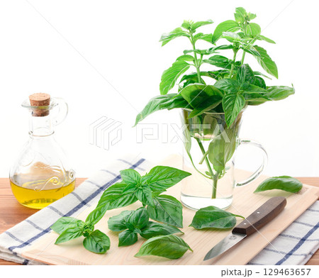 摘みたてバジルとオリーブオイル　香り豊かなハーブとキッチン雑貨のある暮らし 129463657