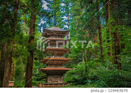 山形県鶴岡市　羽黒山五重塔 129463670