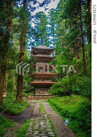山形県鶴岡市　羽黒山五重塔 129463673