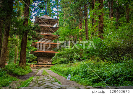 山形県鶴岡市 羽黒山五重塔 山形県鶴岡市 羽黒山五重塔 129463676