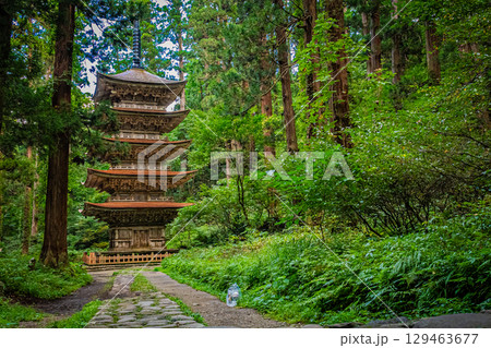 山形県鶴岡市　羽黒山五重塔 129463677