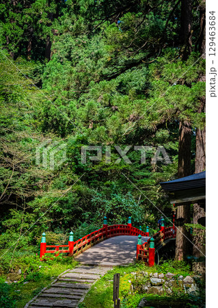 山形県鶴岡市　羽黒山五重塔 129463684