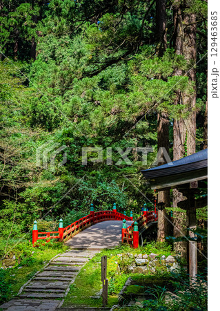 山形県鶴岡市　羽黒山五重塔 129463685