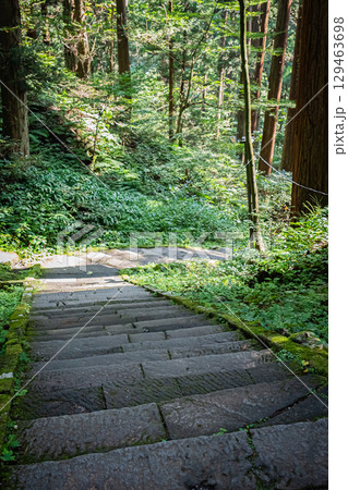 山形県鶴岡市　羽黒山五重塔 129463698