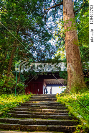 山形県鶴岡市 羽黒山五重塔 山形県鶴岡市 羽黒山五重塔 129463702