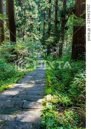 山形県鶴岡市 羽黒山五重塔 山形県鶴岡市 羽黒山五重塔 129463707