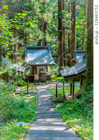 山形県鶴岡市　羽黒山五重塔 129463712