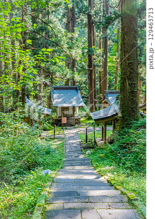 山形県鶴岡市　羽黒山五重塔 129463713
