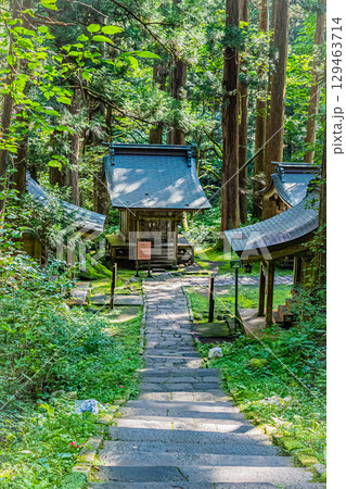 山形県鶴岡市　羽黒山五重塔 129463714