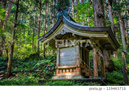 山形県鶴岡市 羽黒山五重塔 山形県鶴岡市 羽黒山五重塔 129463718