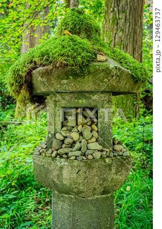 山形県鶴岡市 羽黒山五重塔 山形県鶴岡市 羽黒山五重塔 129463737