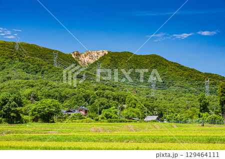 マキノ町の田園から望む野坂山地の景観 滋賀県高島市 マキノ町の田園から望む野坂山地の景観 滋賀県高島市 129464111