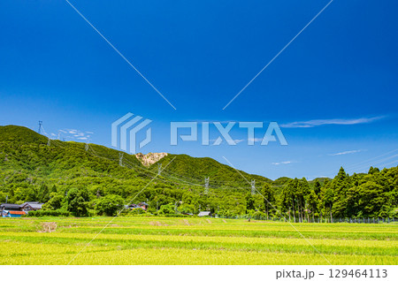 マキノ町の田園から望む野坂山地の景観 滋賀県高島市 マキノ町の田園から望む野坂山地の景観 滋賀県高島市 129464113